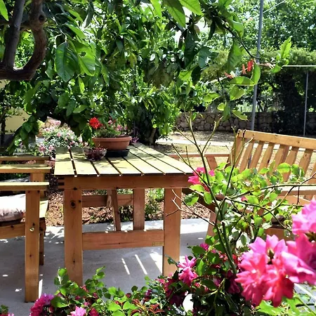 Apartment Apartmani Erna